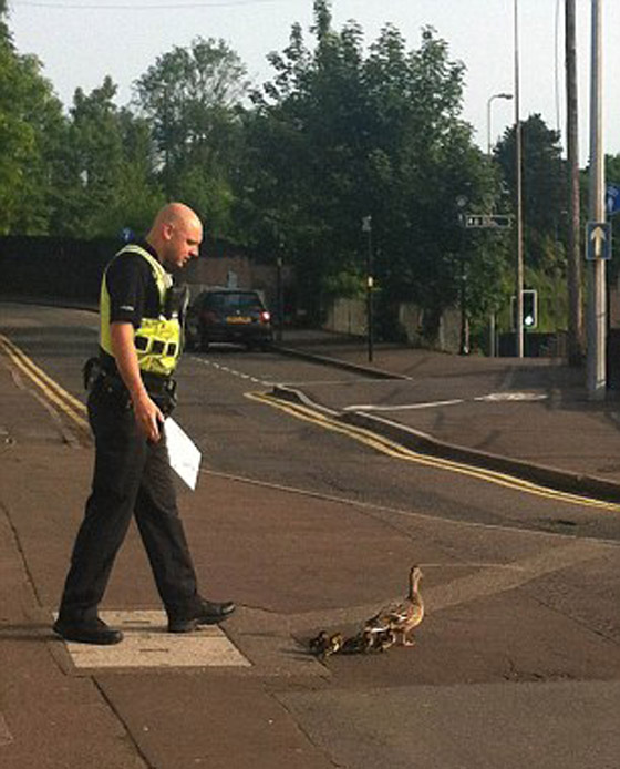 رادار يرصد مخالفة سرعة لـ رادار يرصد مخالفة سرعة لـ