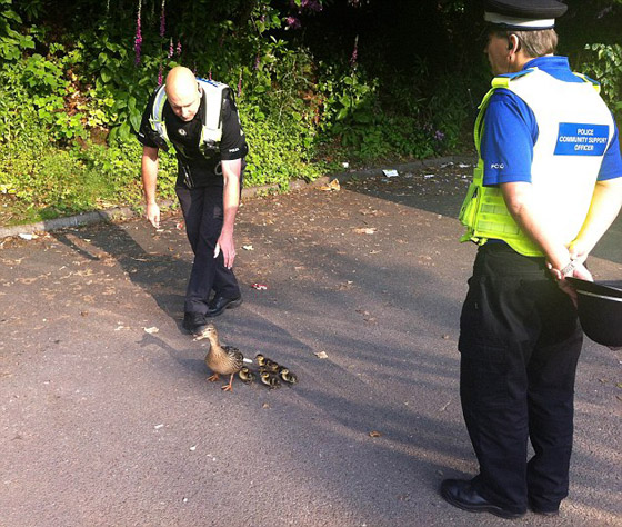 رادار يرصد مخالفة سرعة لـ رادار يرصد مخالفة سرعة لـ
