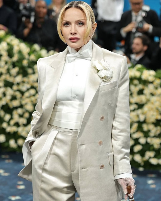 نجمات عالميات جمعن ثروة هائلة: مليارات الدولارات من الغناء..  صورة رقم 6