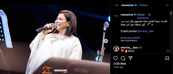 من الذي يحارب شيرين عبد الوهاب ويحاول تحطيمها؟ صورة رقم 2