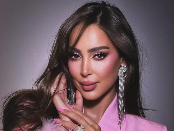 بسمة بوسيل: أغنية مشاعر كانت بالأصل لي! وجمهور شيرين عبدالوهاب يغضب ويرد! صورة رقم 2