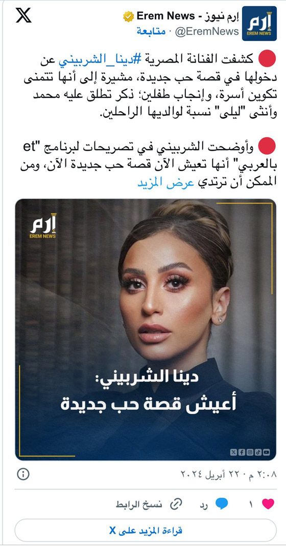 هل تم زواج كريم محمود عبد العزيز من دينا الشربيني شريكة عمرو دياب السابقة؟ صورة رقم 2