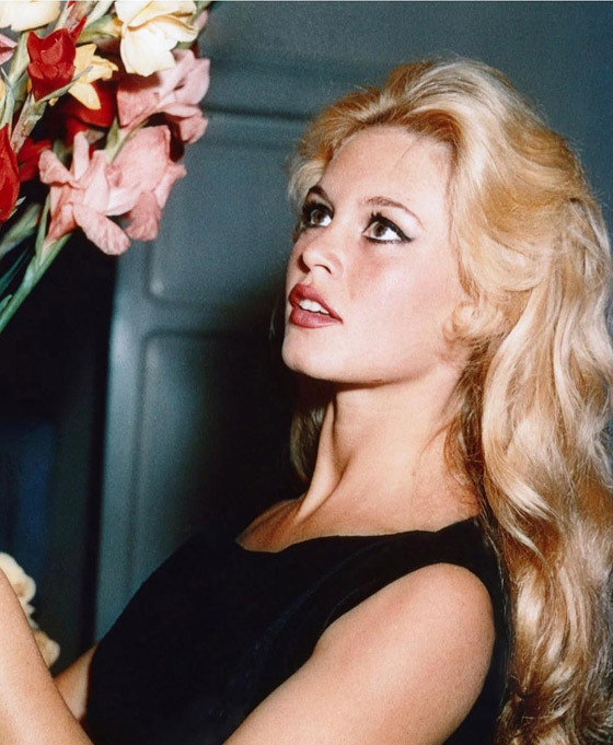 وفاة أسطورة السينما الفرنسية بريجيت باردو  صورة رقم 2