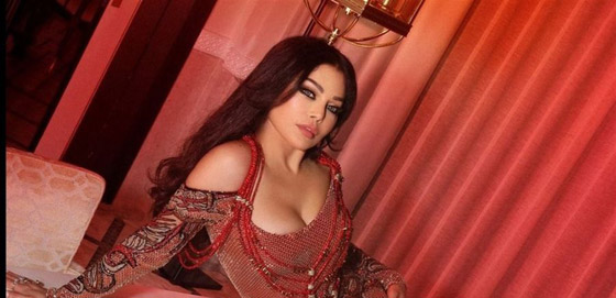 هيفاء وهبي تفاجئ الجمهور وتطلب من مصمم الأزياء ان يقصّ فستانها على المسرح صورة رقم 3 هيفاء وهبي تفاجئ الجمهور وتطلب من مصمم الأزياء ان يقصّ فستانها على المسرح صورة رقم 3