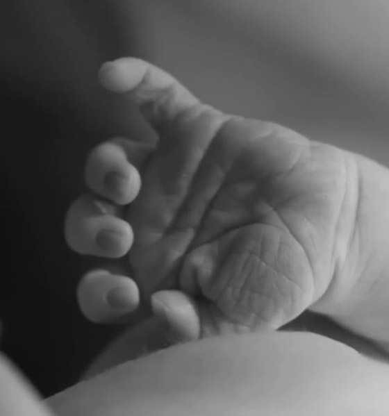 ناصيف زيتون ودانييلا رحمة يستقبلان مولودهما الأول إلياس صورة رقم 1