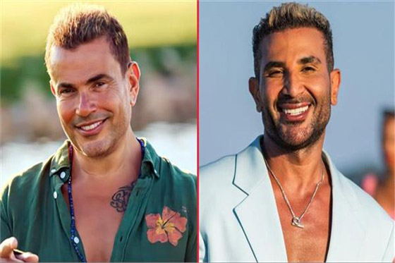 انتقادات واسعة تجاه عمرو دياب وأحمد سعد! والسبب هاني شاكر صورة رقم 5