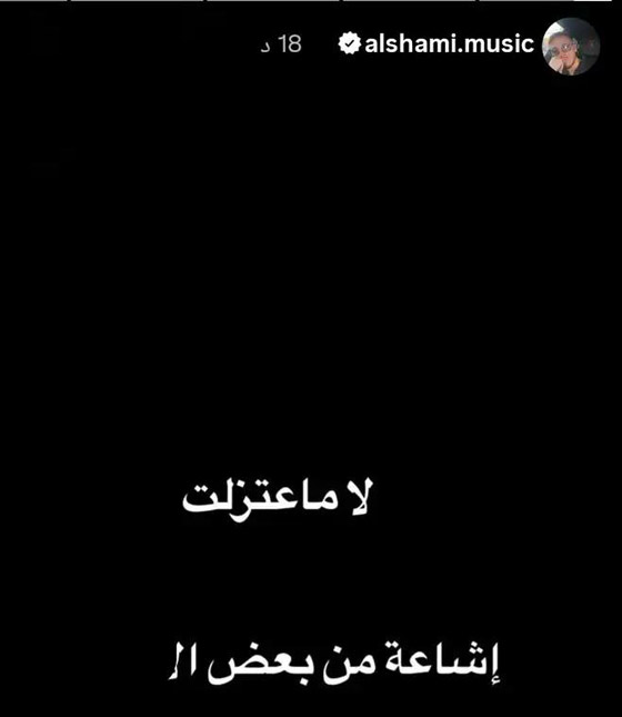 الشامي: لم اعتزل  ورح اعيش فنان واموت فنان!  صورة رقم 2