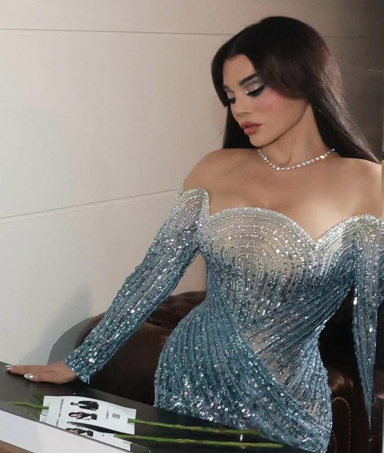 هيفاء وهبي تشعل الأجواء في الأردن بحفل غنائي وإطلالة مثيرة بفستان أسطوري صورة رقم 1