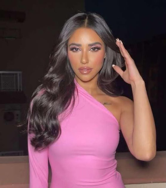 صورة رقم 1 - أشهر خلافات فناني مصر: شيرين، حسين فهمي وريم البارودي! صورة رقم 1 - أشهر خلافات فناني مصر: شيرين، حسين فهمي وريم البارودي!