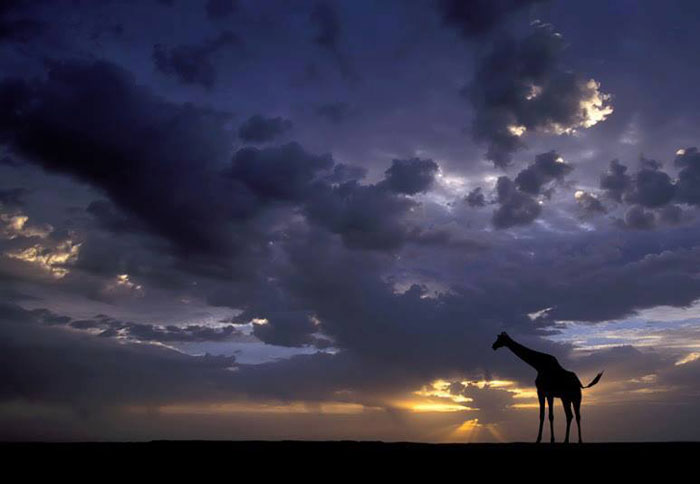 ������ �� ����� �������