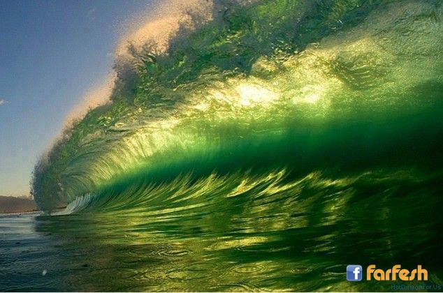 ���� ����� ������ ����� �� ������ ����� �������