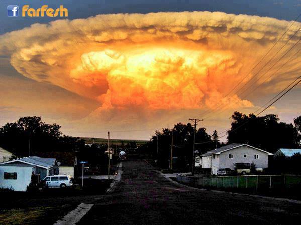 ���� ����� ��������