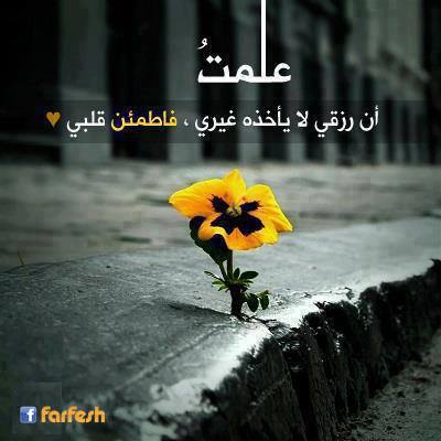 ���� �� ��� ��� ������ ��� ������