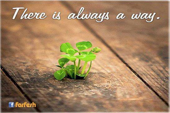 ����� ����� ���