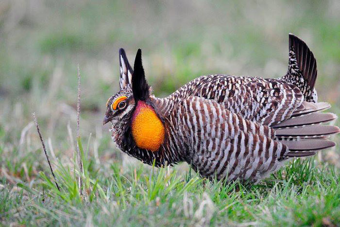 ���� ����� ���� ����� ������ �����