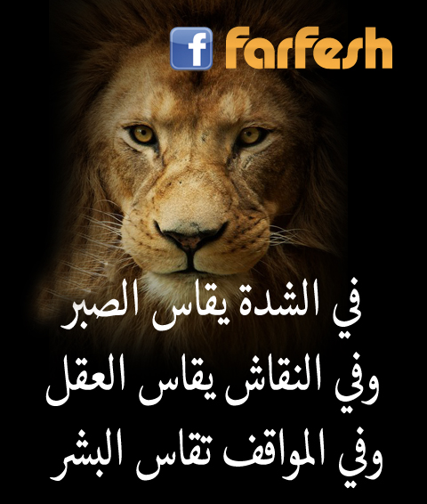 �� ����� ���� �����