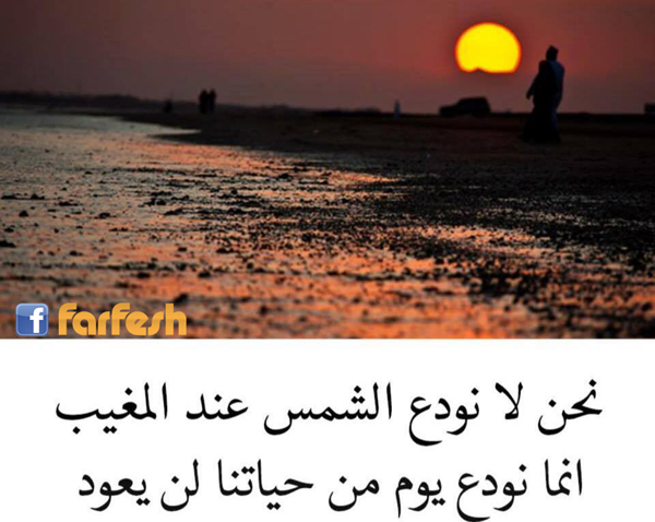 ��� ���� �� ������ ... ���� ���� ������ ���� ����