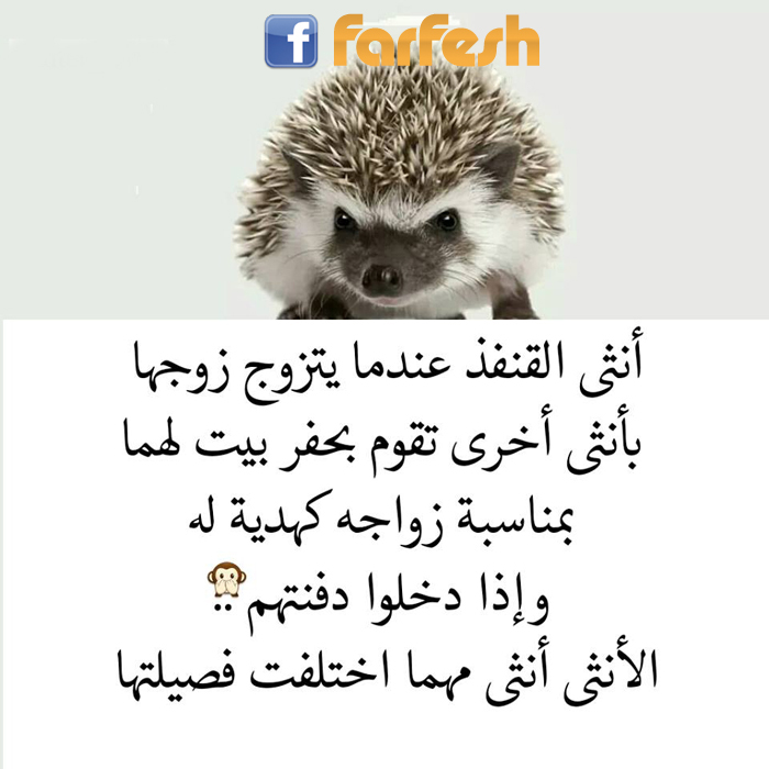 ����� ������� .. �� �����