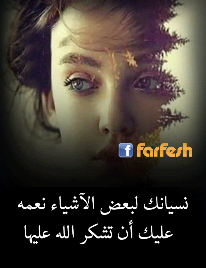 ������ ���� ������� ����