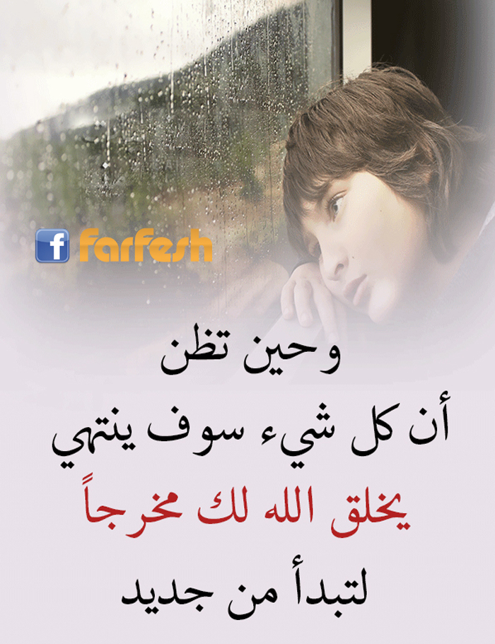 ���� ������ ���� �� ����� �����