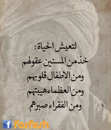 ����� ������: