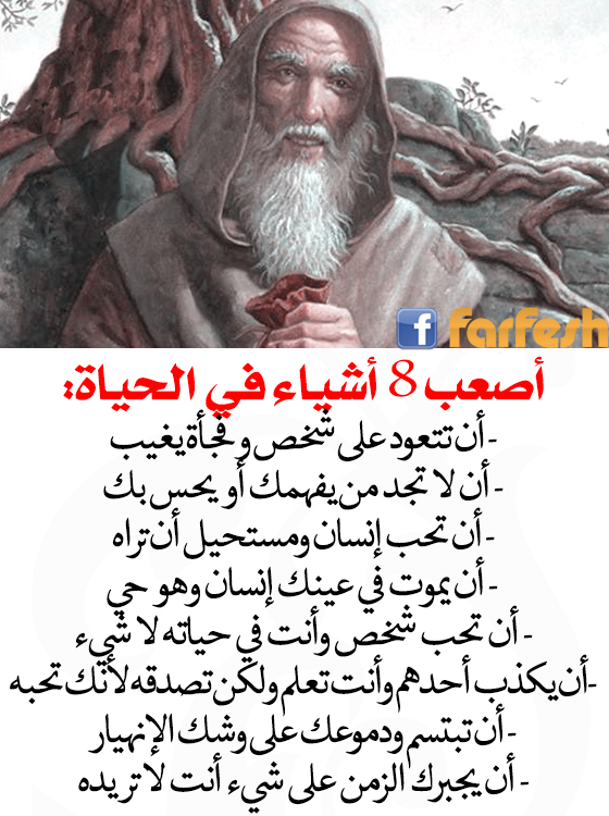 ���� 8 ����� �� ������