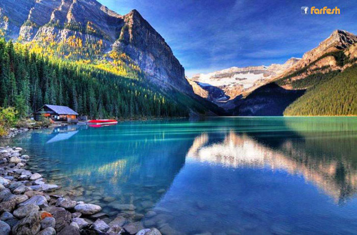 ����� ���� - ����