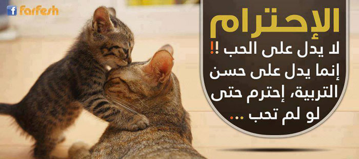 �������� �����!!!