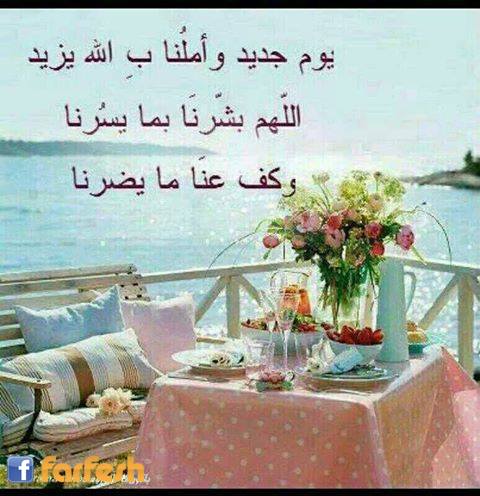 ������ ���������� ���� ��������