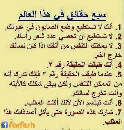 ������ ���� ������