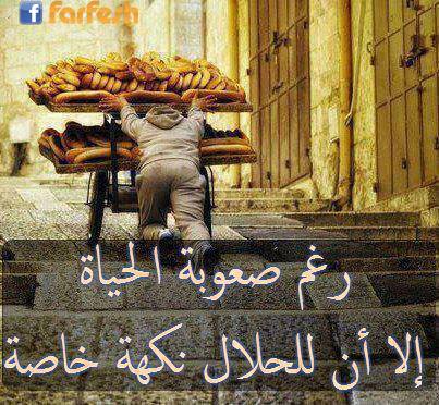 ������ ������ ����� ���� ���� ��