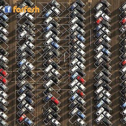 ���� ����� ����� �������