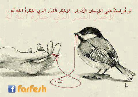 ������ ���� ����� ����