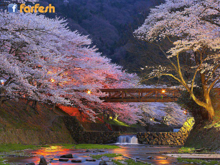 �� ���� ����� �������