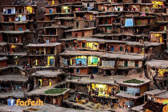 ���� ����� ���������