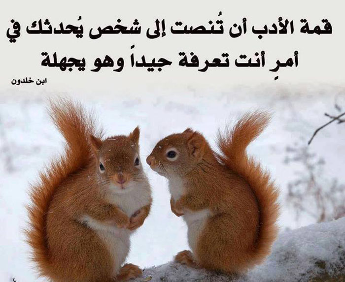 ��� �����