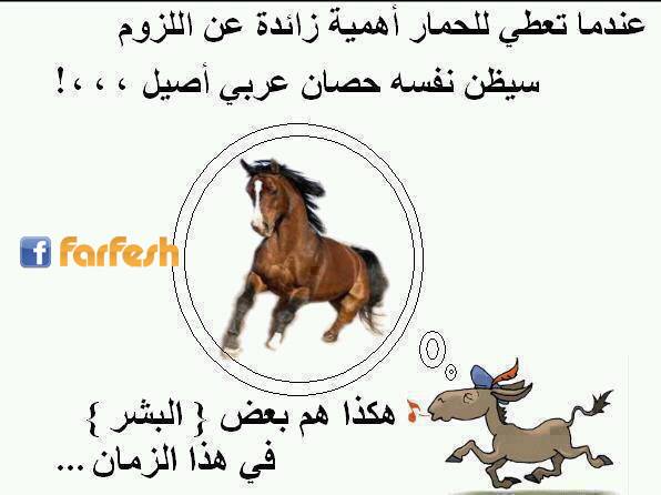 ����� ������ ��� ���� ��� ���� ���� ����