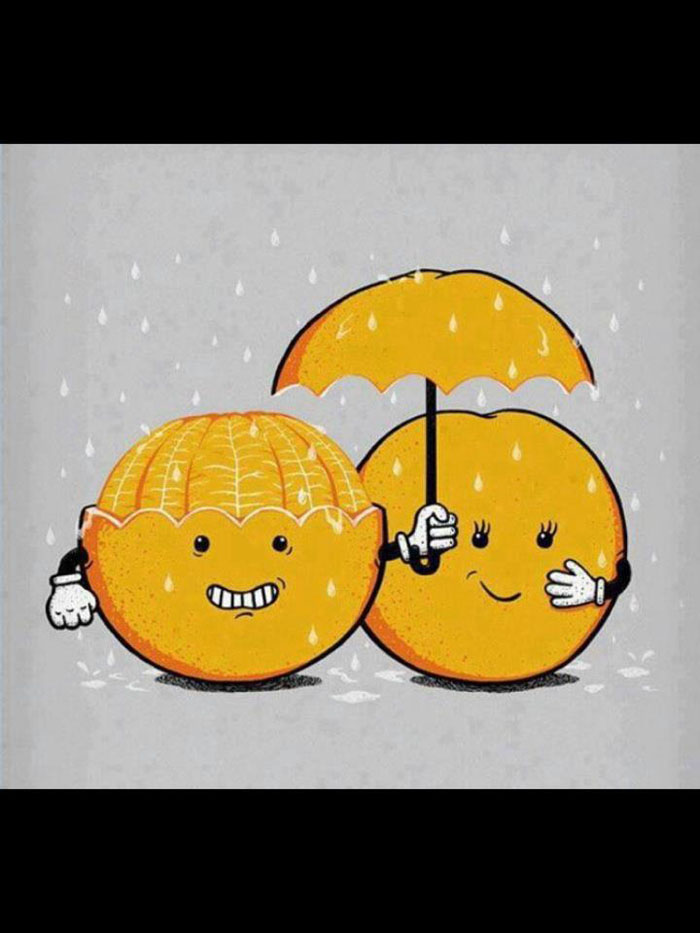 ��� ����� ��������