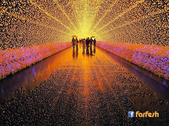 ��� �������� �������