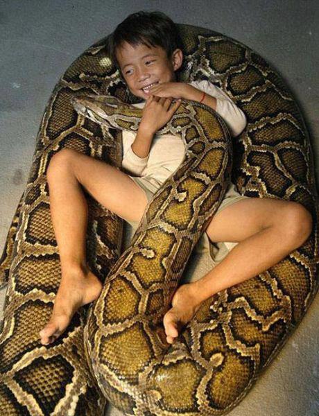 ��� ��� ��� ����