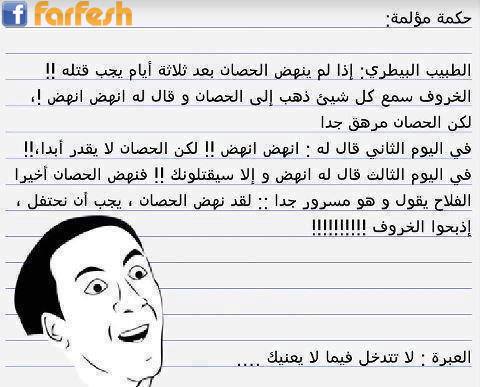 ���� �����