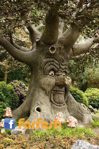 ����� ������ � ����� �����