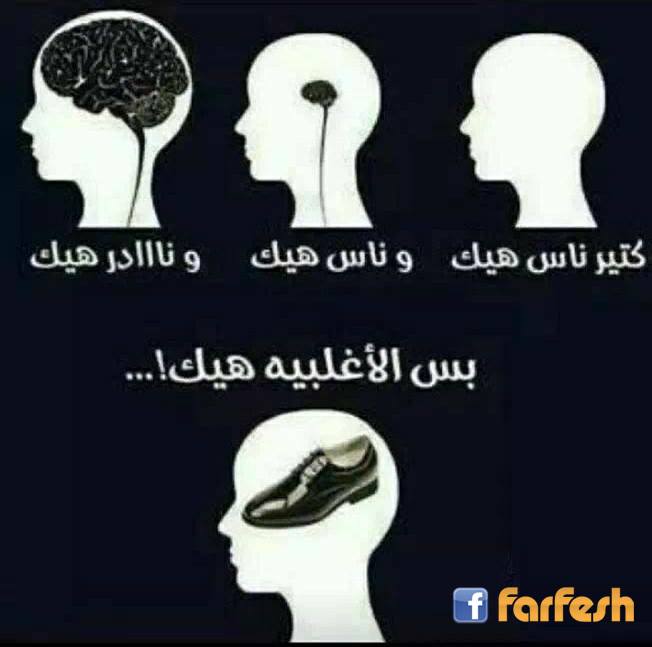 ����� ����