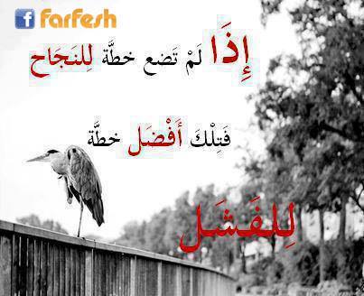 ��� ������ ����