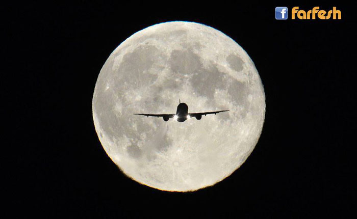 ���� ������ ������ ���� ������ ..���� ����� ���� ����� ��������