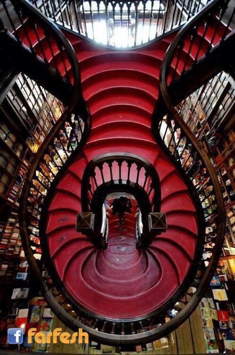 ���� �� ���� ����� ���� �� ����� - �������� 