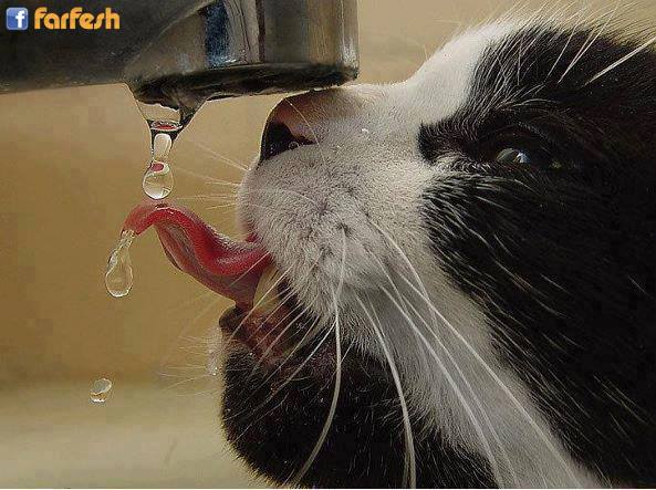 ������ �� ����� �� ��� �� ���� ������