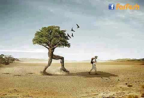 �� ���� ���� ��� ���� .. ������ �� ������ ������ ���� .