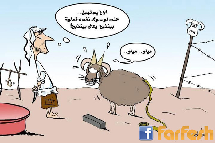 ������������ ����� 