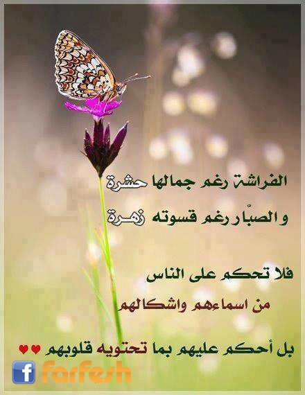 �� ����� ��������